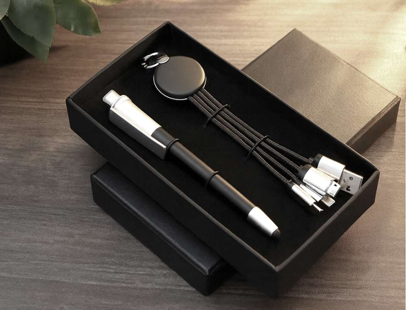 Luxury Gift Set Pen & 3-in-1 Charging Cable